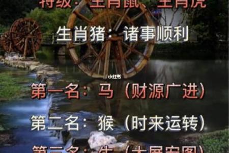 沈腾星座生肖运势怎么样