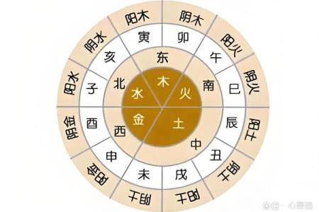 八字查玄机，探秘外表之谜！