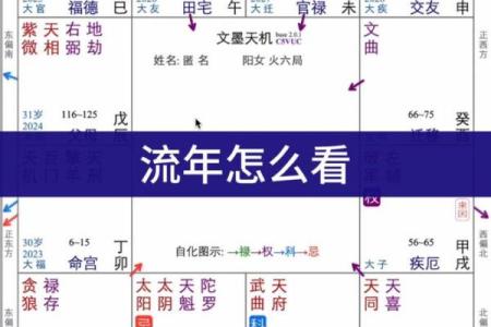 东有小山紫薇斗数7