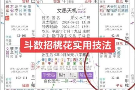 紫薇斗数怎么看生死