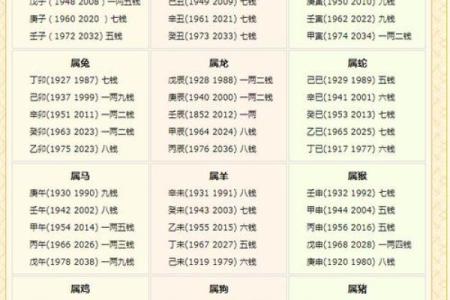 称骨算命女3.1