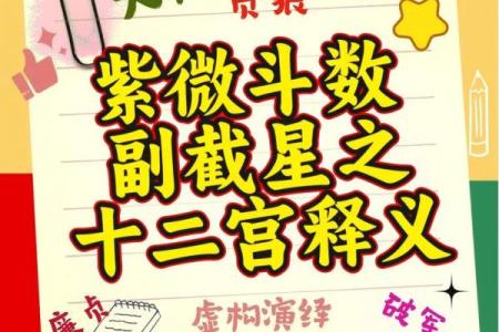 紫微斗数之子女宫与诸星，紫微星在子女宫是什么意思？