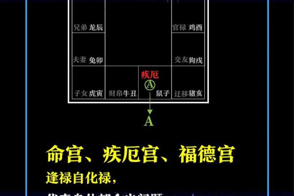 紫薇斗数中化禄星都有哪些