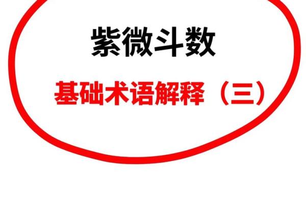 紫薇斗数小箭头