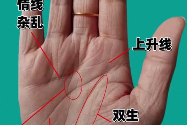 手纹线看相 手纹看相算命图解