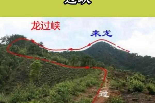 祖坟在公路旁边风水好吗