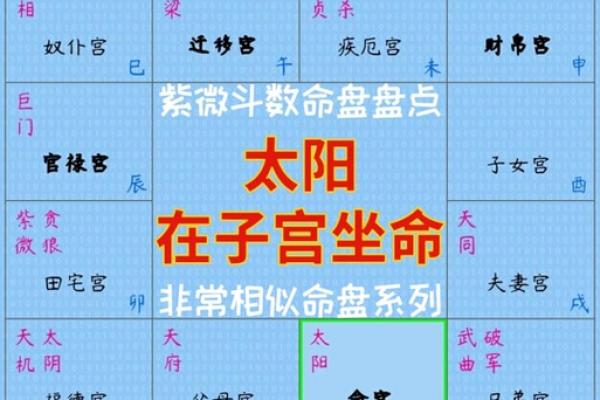 紫薇斗数文曲在命宫