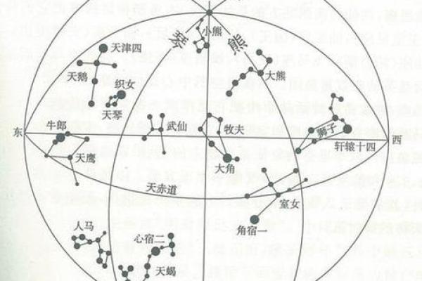 北斗星和紫薇星的区别是什么意思啊