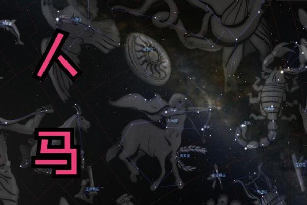 人马座是什么星座