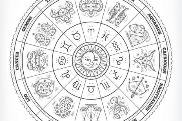 紫薇星盘看天盘还是地盘