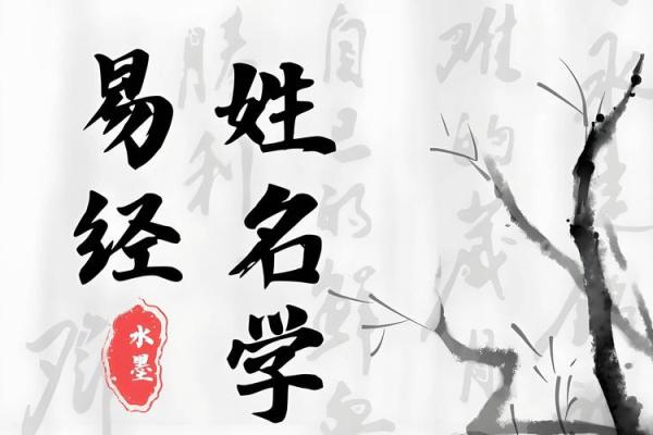 姓名与婚姻姓名