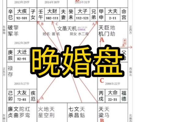 紫微斗数同盘不同运 紫微斗数基本盘相同的人？