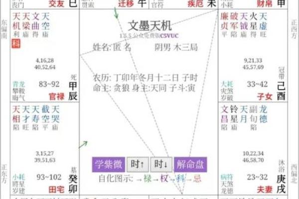 紫微斗数同盘不同运 紫微斗数基本盘相同的人？