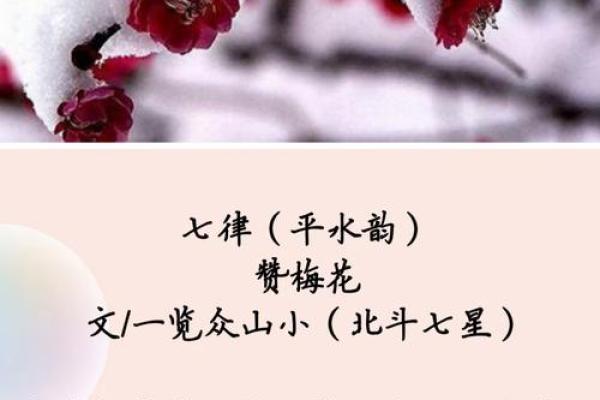 梅花风水_我秀了一副两米多的霜雪梅花图按风水是挂在西墙上好还是东墙上好
