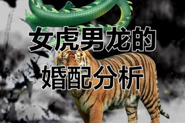 属龙姻缘配对
