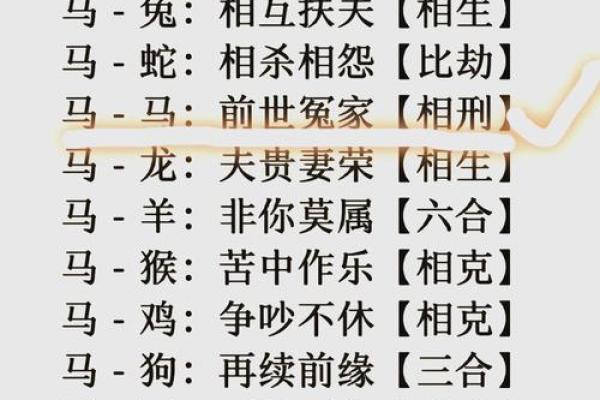 属龙姻缘配对