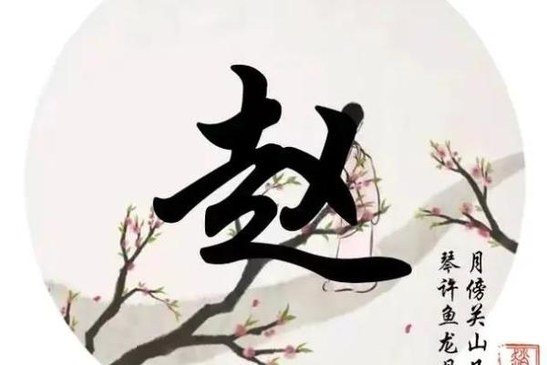 赵字姓名图像配对大全男 赵字好名字？