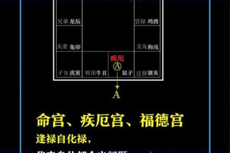 紫薇斗数中化禄星都有哪些