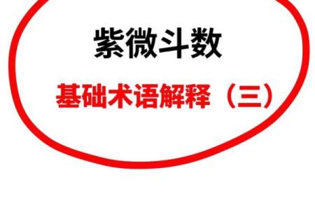 紫薇斗数小箭头