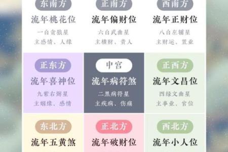 属猪的财神方位
