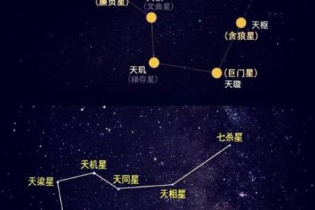 紫薇斗数文曲在命宫