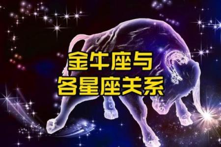 最佳星配！金牛座最适合与哪些星座搭配？