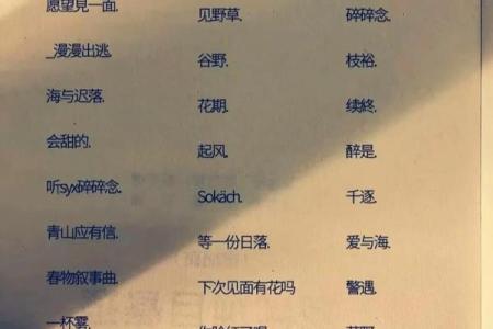 姓名真实配对网名男 姓名真实配对网名男两个字？
