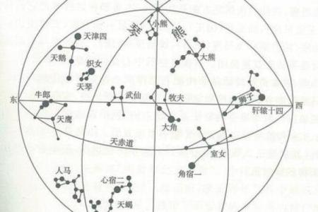 北斗星和紫薇星的区别是什么意思啊