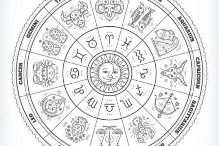 紫薇星盘看天盘还是地盘