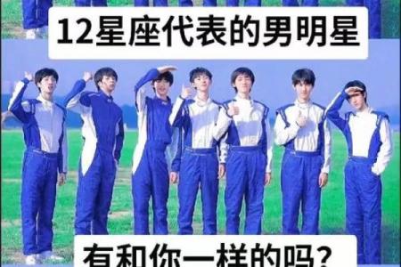 12星座适合嫁的明星老公测试