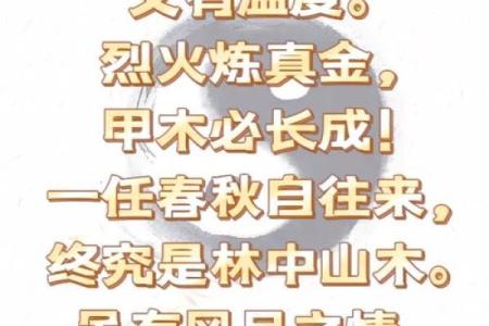八字身弱甲木女有什么特点
