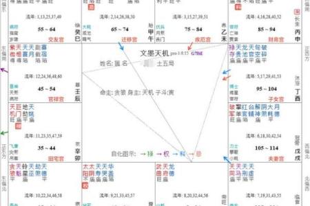紫微斗数太阳星在各宫的影响