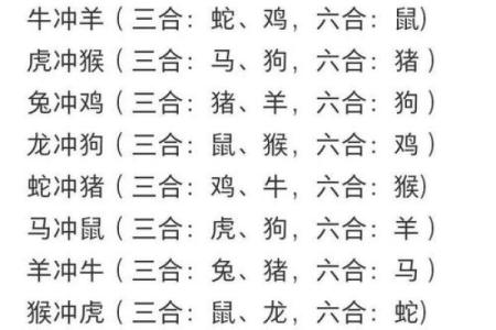 属鼠和属狗的八字合不合得来,属狗的跟属鼠的合财吗