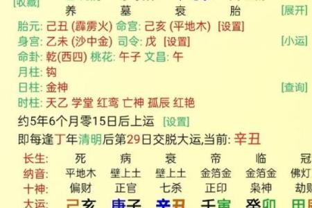 戊午命最好的八字