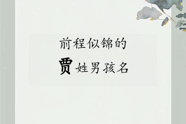 贾姓女孩名字大全-贾姓女孩起名字大全-贾姓名字大全姓名