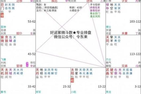 紫薇斗数批流年男顺女逆
