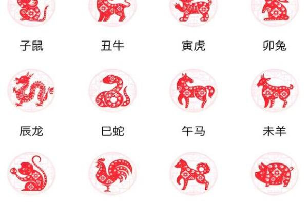 八字是什么肖