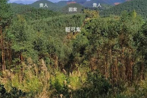 祖坟风水不好表现，怎么算不好