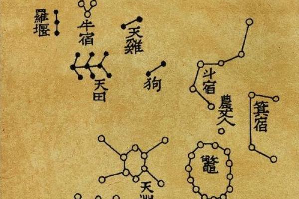 牛郎星是属于什么星座