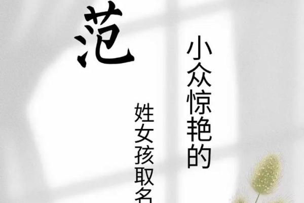 范姓女孩名字大全-范姓女孩起名字大全-范姓名字大全姓名