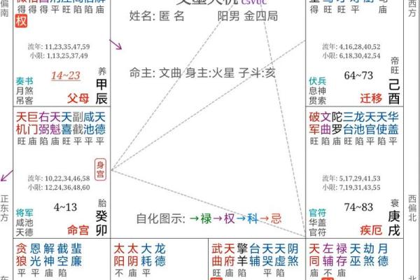 最准紫薇斗数app