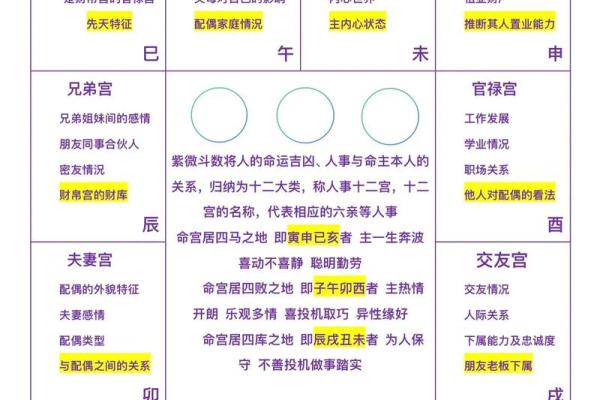 紫薇斗数abc.