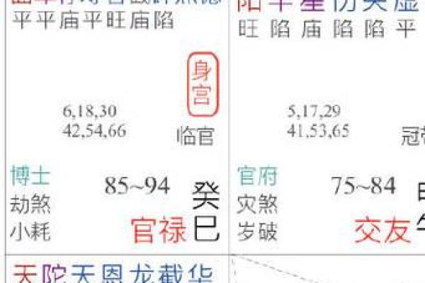紫薇斗数博士学历