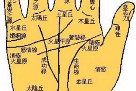 免费扫一扫看手相算命,扫一扫看手相算命