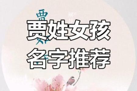 贾姓女孩名字大全-贾姓女孩起名字大全-贾姓名字大全姓名