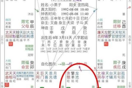 紫薇斗数批流年男顺女逆