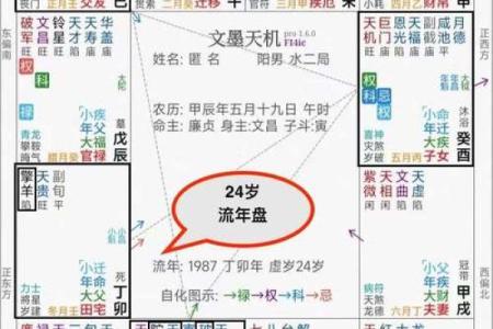 紫薇命盘疾厄宫廉贞天相