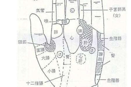 手掌算命男左女右