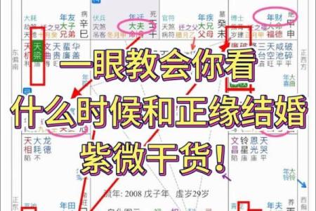 紫微斗数弱智 紫微斗数看智力？