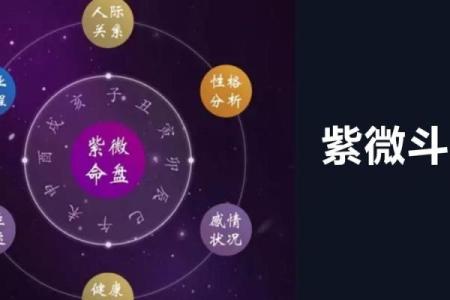 紫薇斗数看福禄
